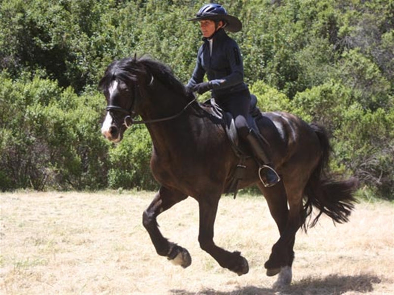 Equestrian Endurance Helmet Visor - UPF50+