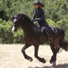 Equestrian Endurance Helmet Visor - UPF50+ - Image 7