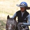 Equestrian Endurance Helmet Visor - UPF50+ - Image 9