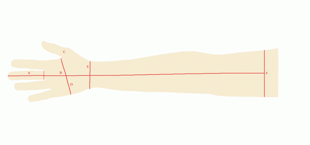 Glove size chart